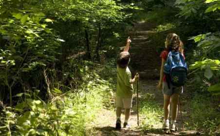 A boy and girl hiking along a sunlit path in the woods with walking sticks and a backpack.