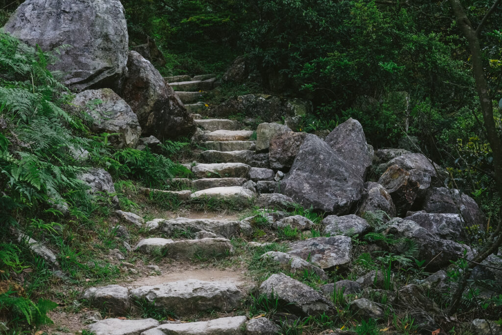 A narrow, rocky, uphill path.